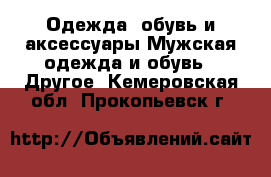 Одежда, обувь и аксессуары Мужская одежда и обувь - Другое. Кемеровская обл.,Прокопьевск г.